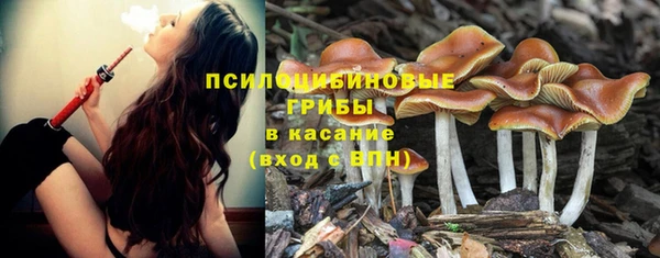 не бодяженный Волоколамск